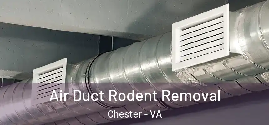  Air Duct Rodent Removal Chester - VA