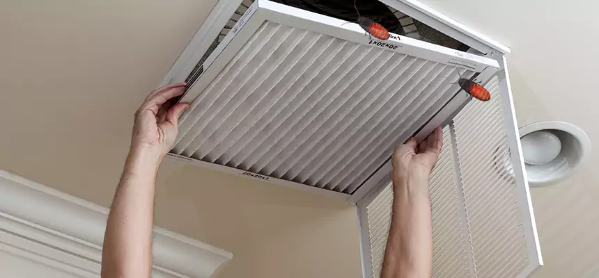 Our Insect Removal from Air Ducts Services in Chester, VA