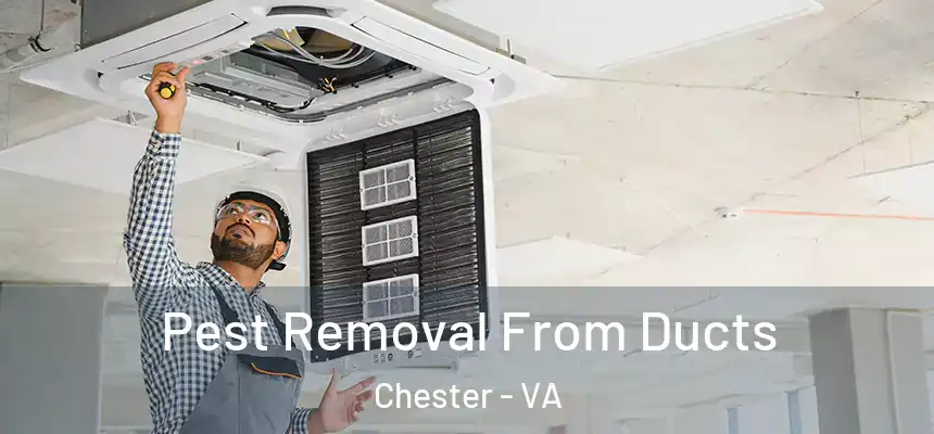  Pest Removal From Ducts Chester - VA