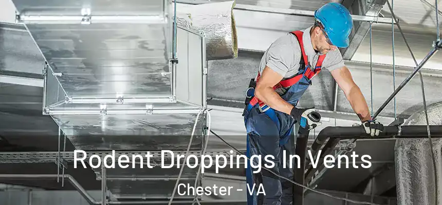  Rodent Droppings In Vents Chester - VA