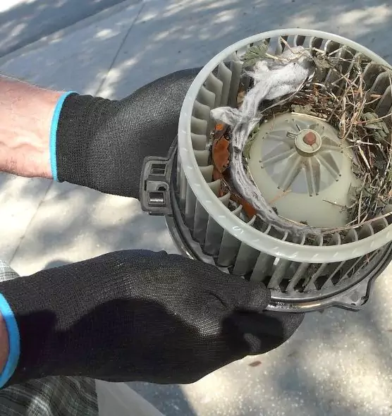 About Air Duct Mice Removal in Chester, VA