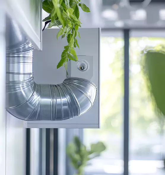 Professional Eco-Safe Dryer Vent Cleaning in Chester, VA