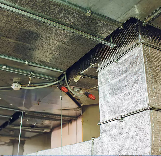 Why Homeowners & Businesses Trust Us in Chester, VA?