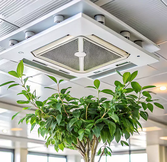 Why Homeowners & Businesses Trust Us in Chester, VA